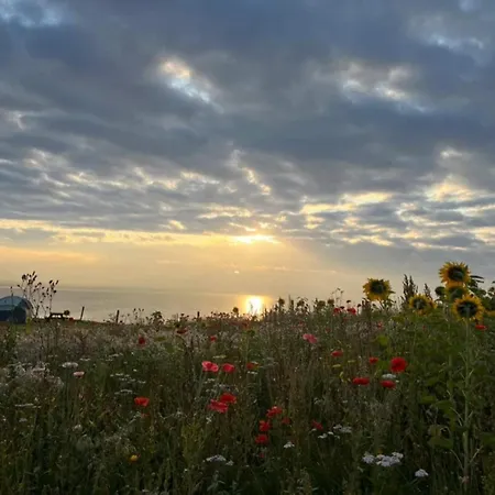 4 Person In Frorup-by Traum 度假居 *